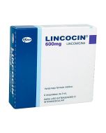 600 mg /2 ml Lincomicina