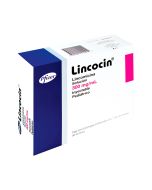 Infantil 300 mg Lincomicina